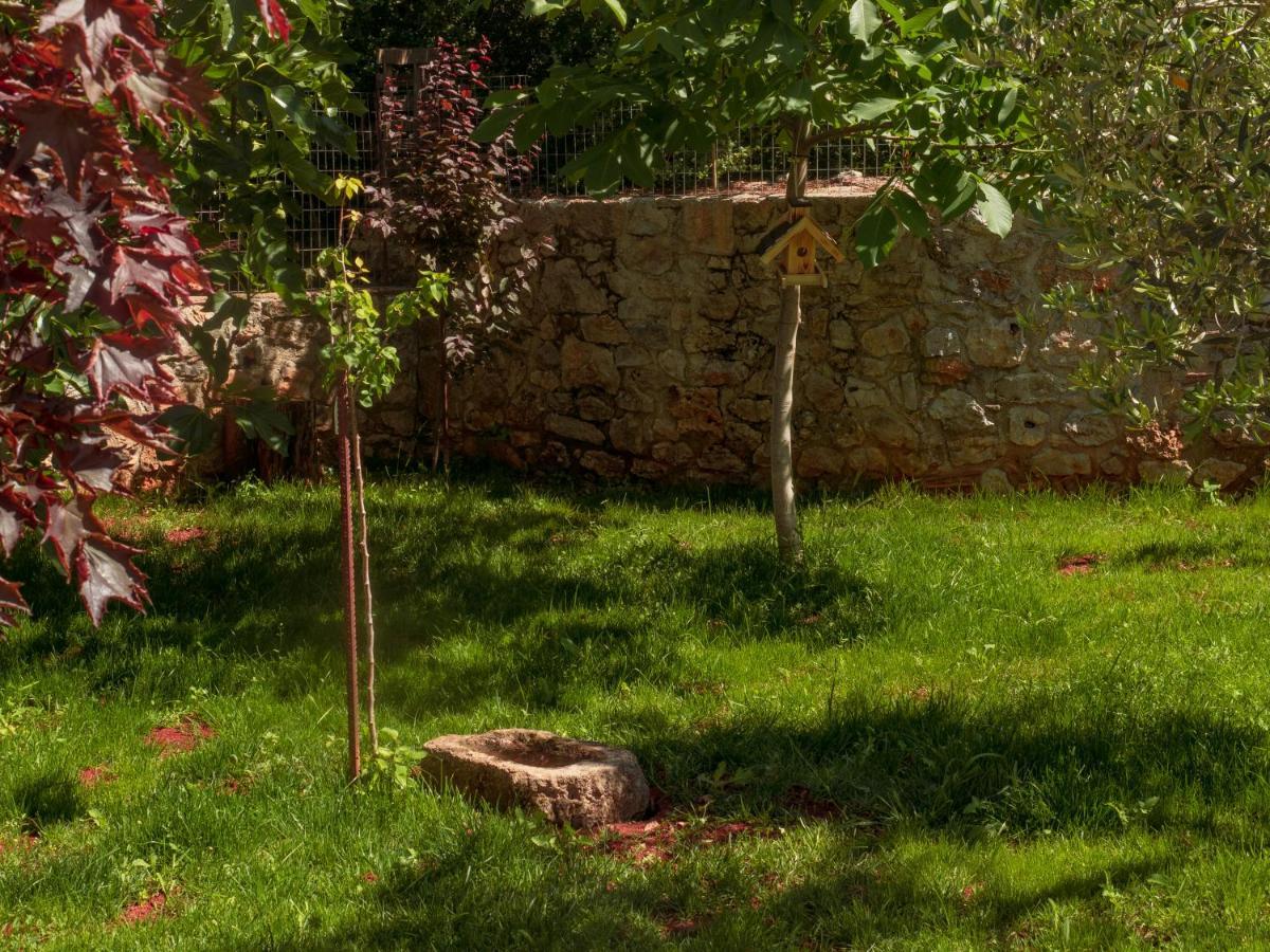 Vintage Stone-Built Country Cottage In Richea Kouloureika المظهر الخارجي الصورة