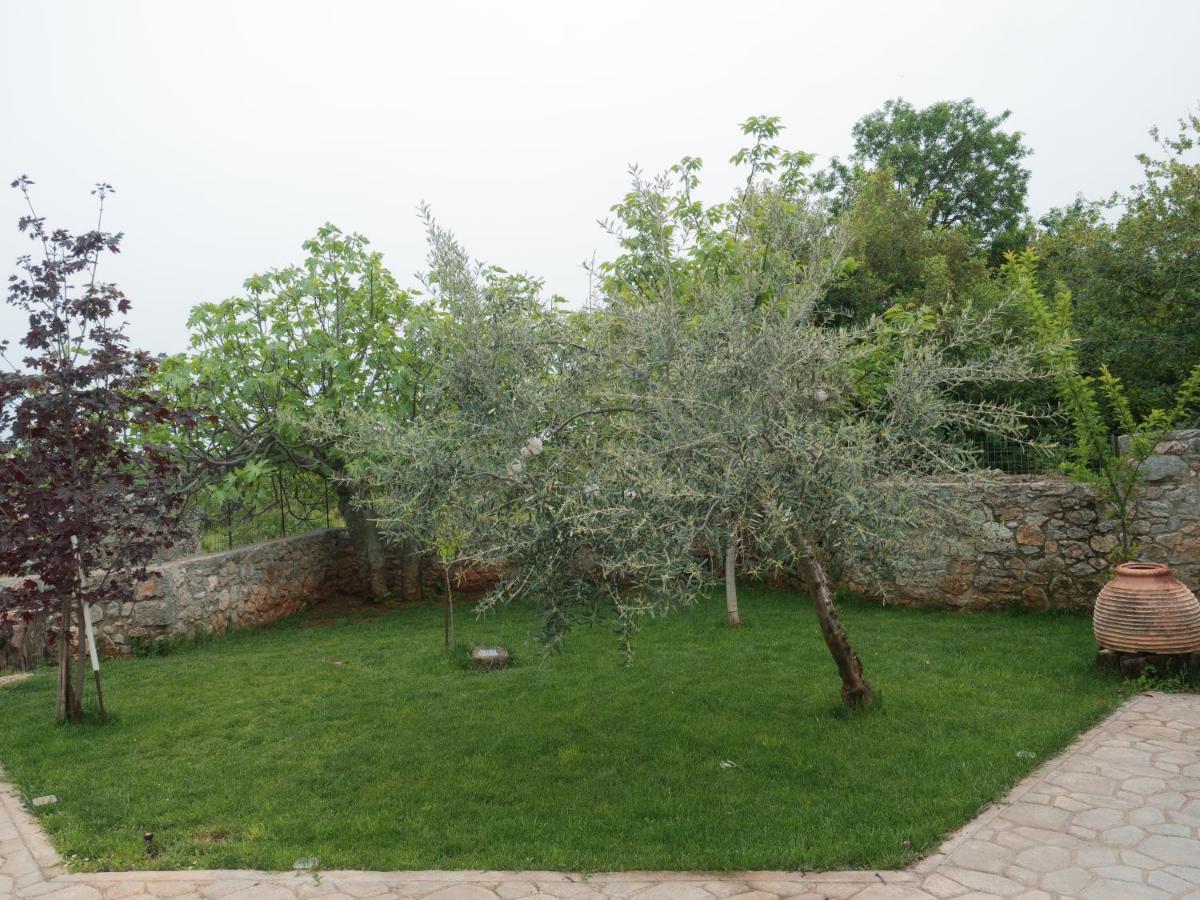 Vintage Stone-Built Country Cottage In Richea Kouloureika المظهر الخارجي الصورة